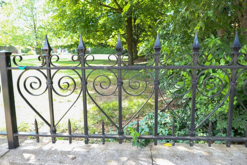 Wrought Iron Fence with Gate